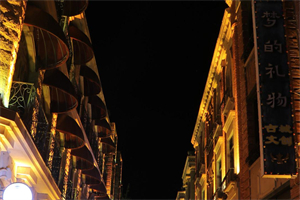 Mutual Win-Win： Shanghai's Innovative Support Program for People with Disabilities